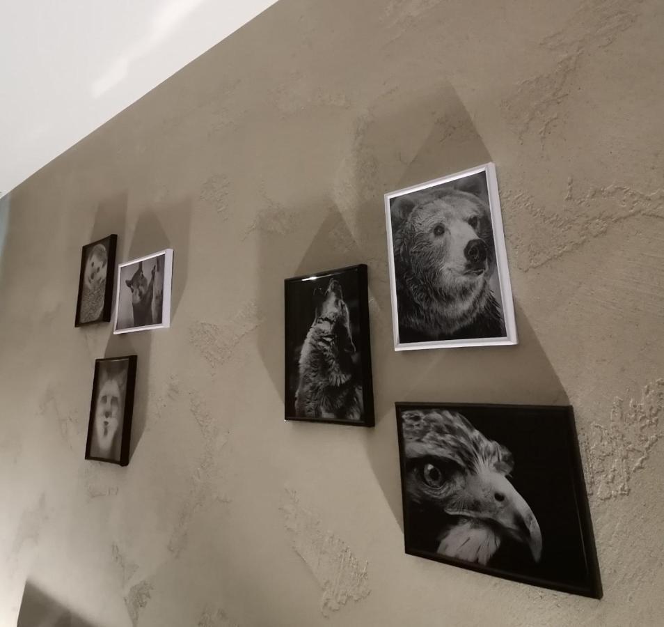 Studio A3 Borovets Gardens Kültér fotó